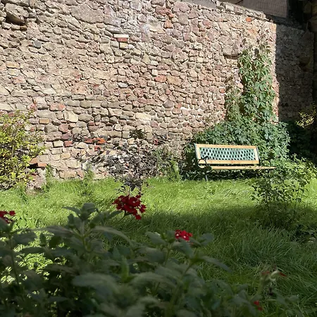 Daire Pristine 1br In Center- Free Parking & Coffee Machine *